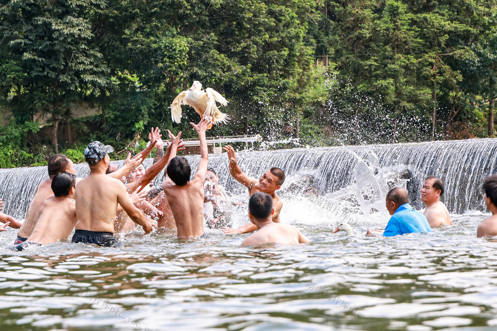 抢鸭子 水 清凉 夏日 玩水