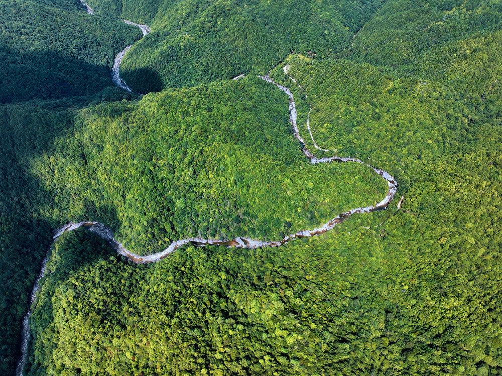 湖南桂东 丝带 “飘” 森林公园