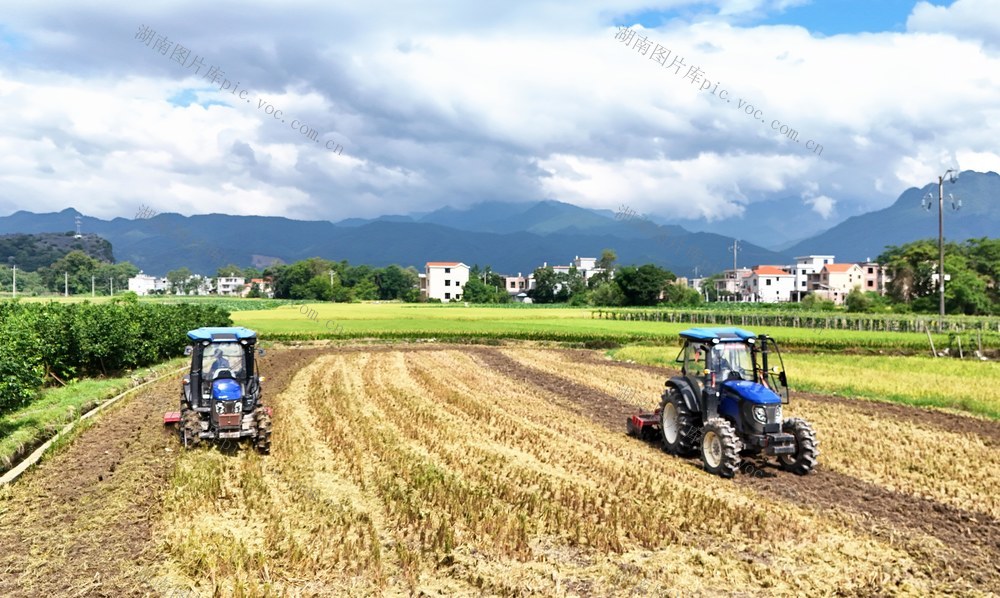  “双抢”农忙
