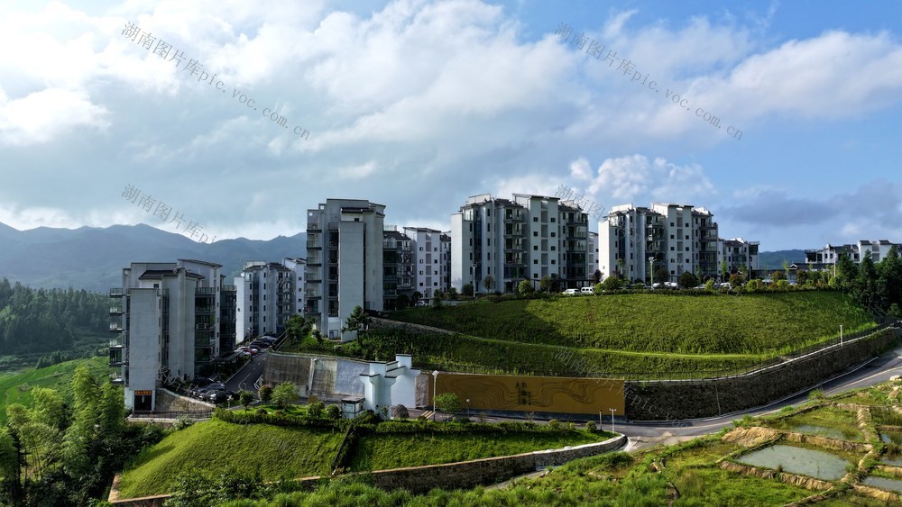 旅居 康养小镇 紫鹊界康养小镇 康养 避暑胜地 避暑 高山 清凉经济