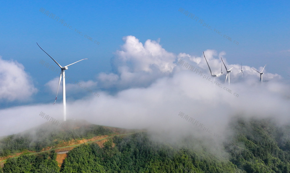 自然与现代科技相融合的美好生态画卷。