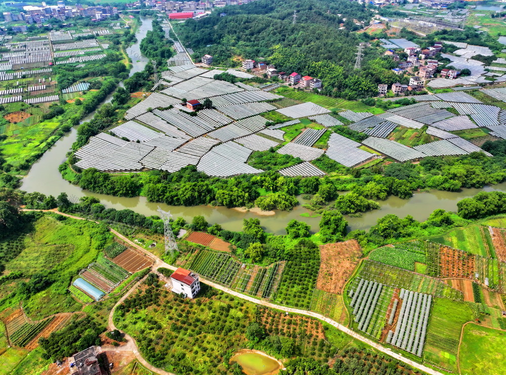 常宁 产业  发展  村庄美