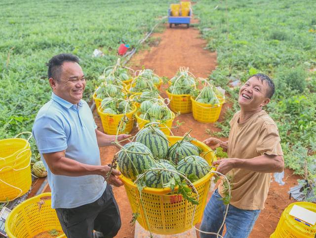 特色产业
道县
