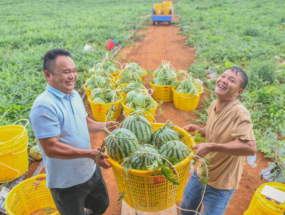 特色产业
道县
