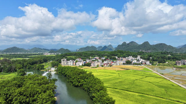双抢 田园 美景