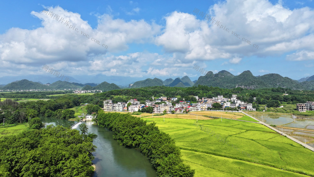 双抢 田园 美景