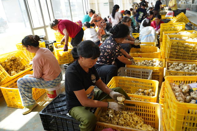 百合富乡村（图）