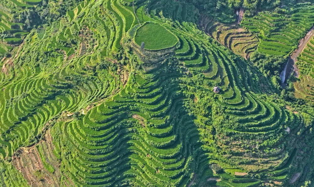 湖南  怀化  山背花瑶景区  梯田  美景