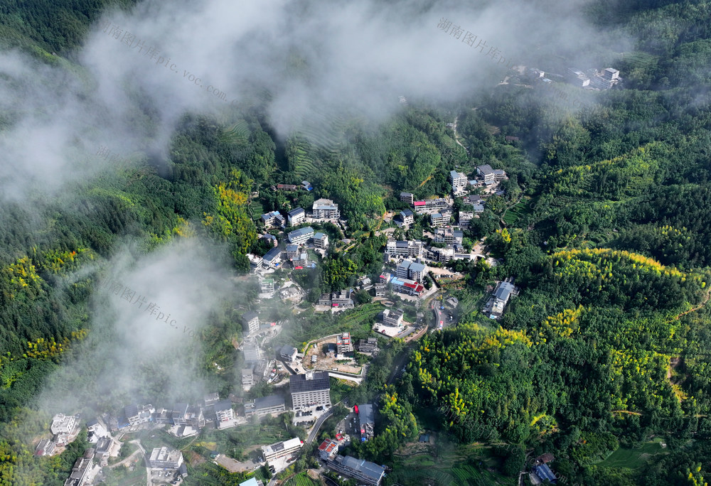 湖南桂东 凉资源 爆 夏日经济 中国氧都 旅居挂东