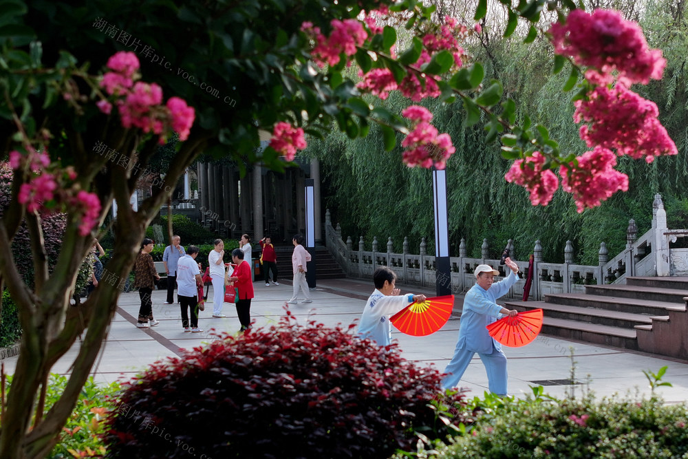 湖南郴州 清凉桂东 23℃  避暑 客与市民 晨练