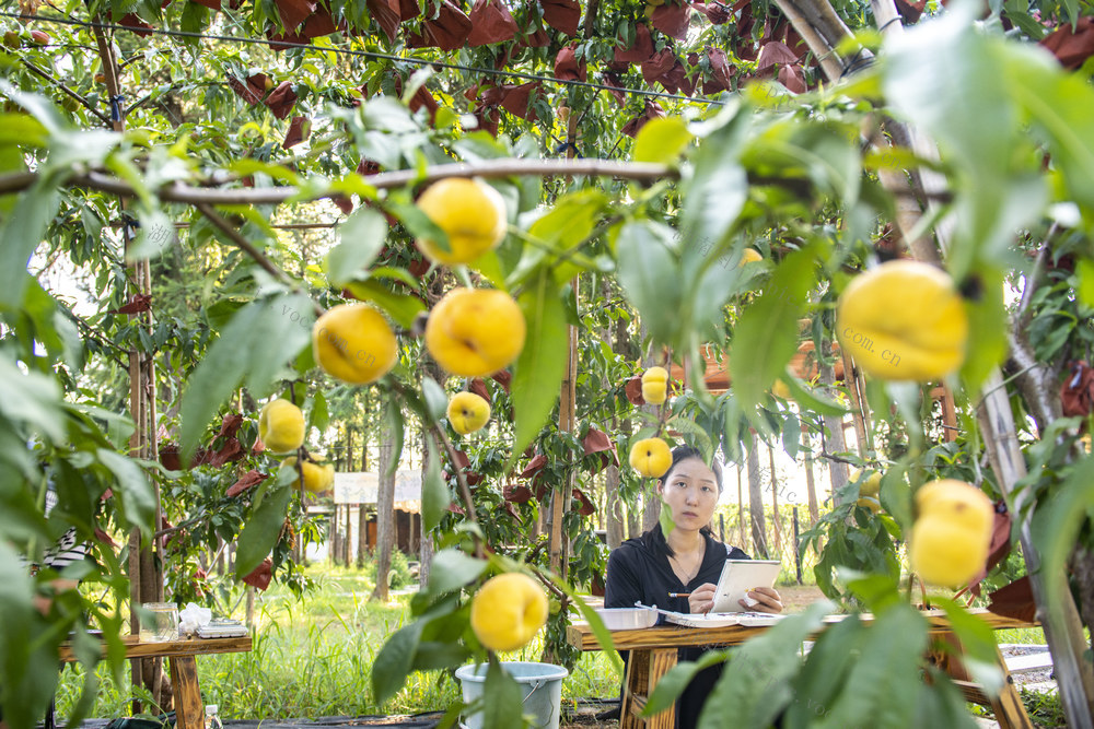 娄底  乡村振兴 产业新貌 乡村特色 艺术