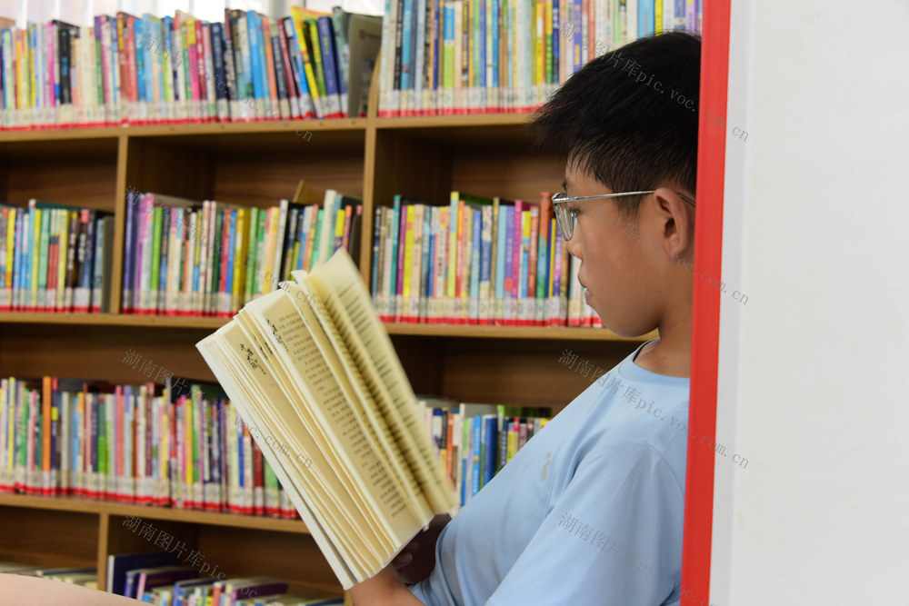 暑假  高温  读书  纳凉