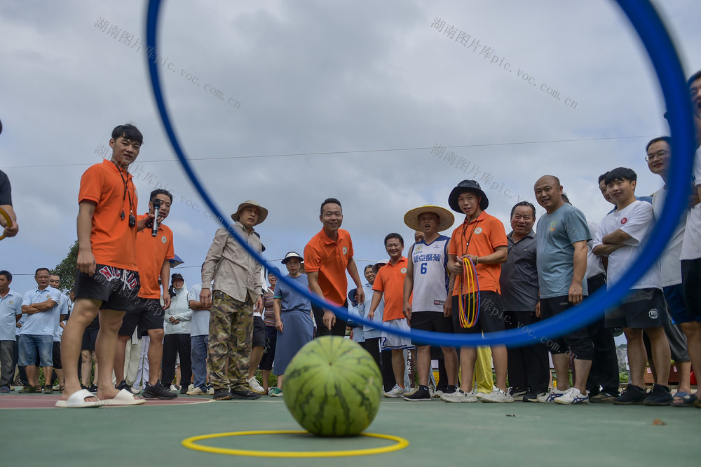 回龙圩   农业 西瓜丰收节 
