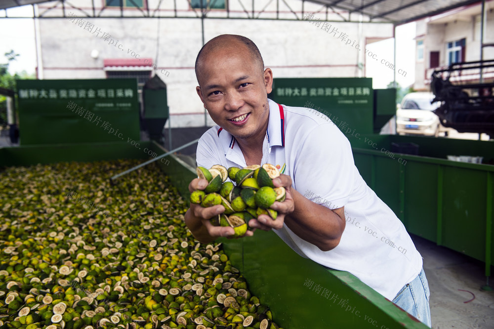 中药材  召开  加工  增值 