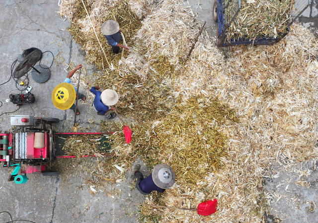 秸秆 回收 利用 