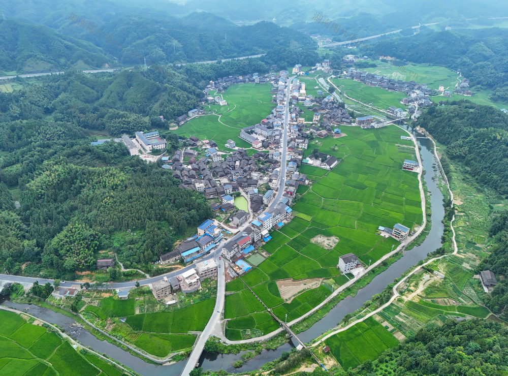 人居环境、农村、乡村、夏天、田园
