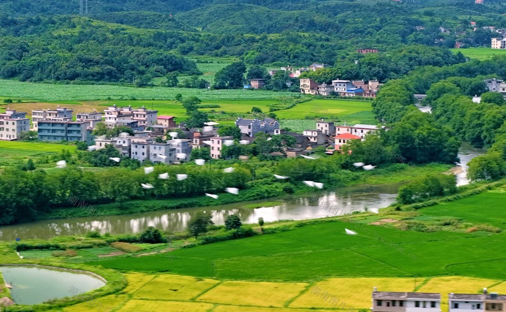湖南  常宁  罗桥  生态  美景