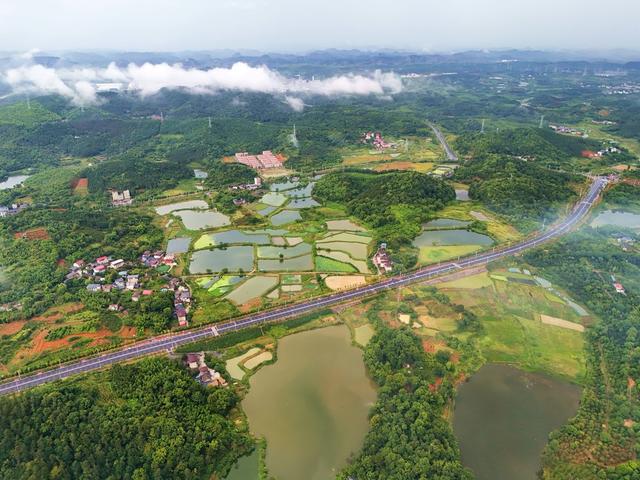 夏日  下雨  天气  乡村  画卷  田园风光