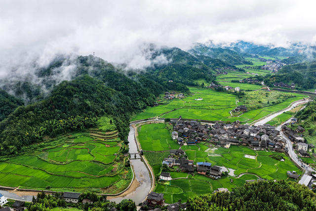 乡村 山水 生态 雾 田园