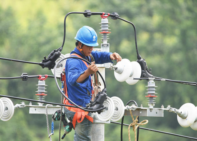 嘉禾：战高温 保供电