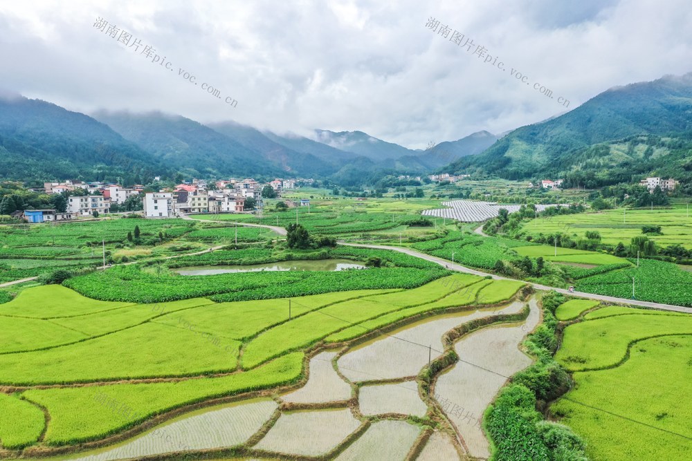 乡村 田园 农村 生态 风景 夏日