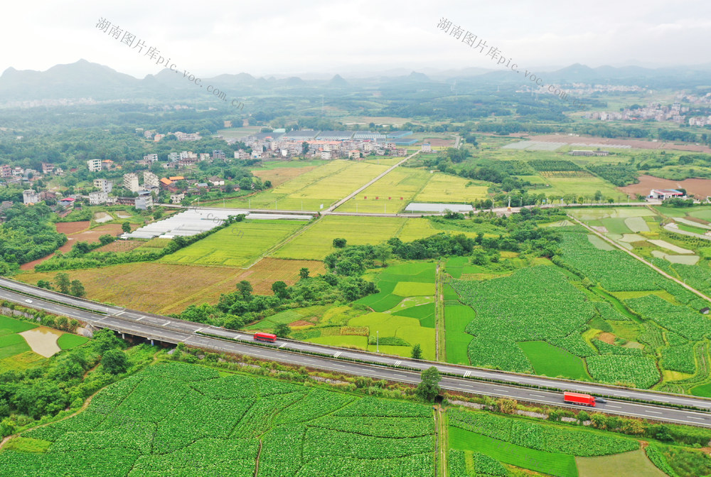 嘉禾：路畅景美产业兴