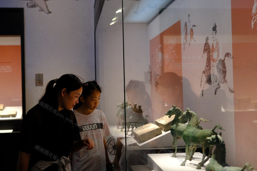 暑假乐游博物馆