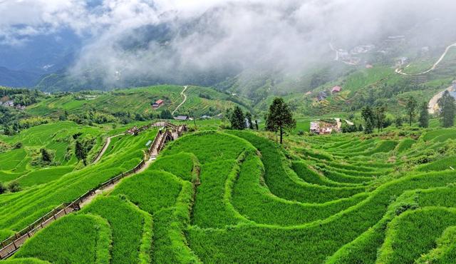 湖南  溆浦  山背花瑶梯田  云雾  美景