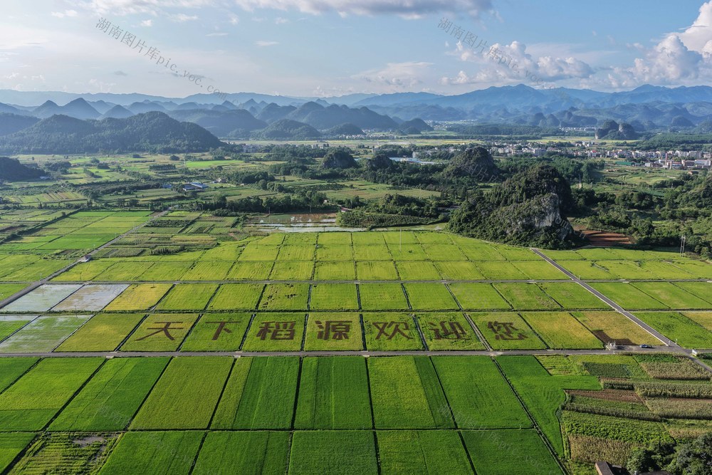 高标准农田
道县
风光
