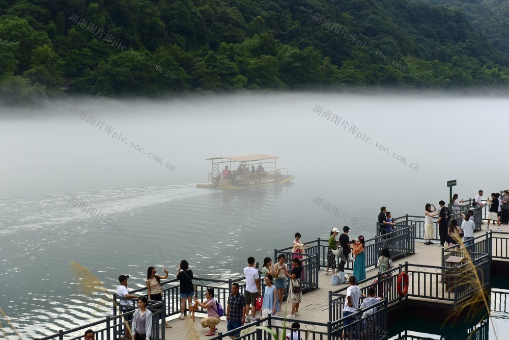  夏日  东江湖  旅游 避暑  客流高峰