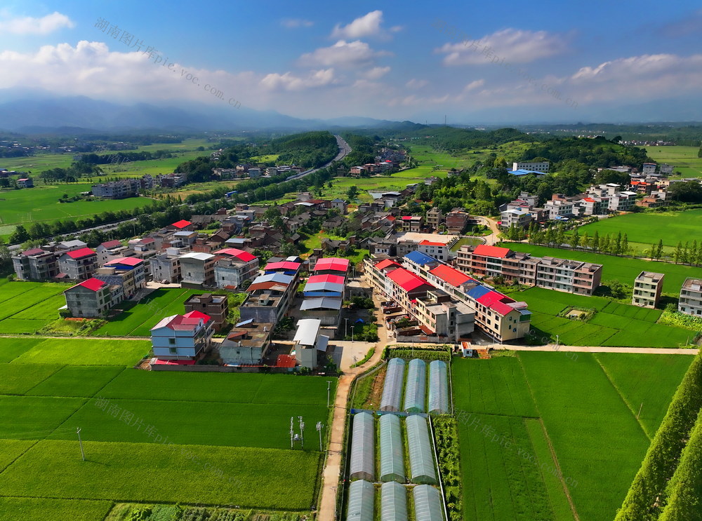 常宁 生态 长江  田园美