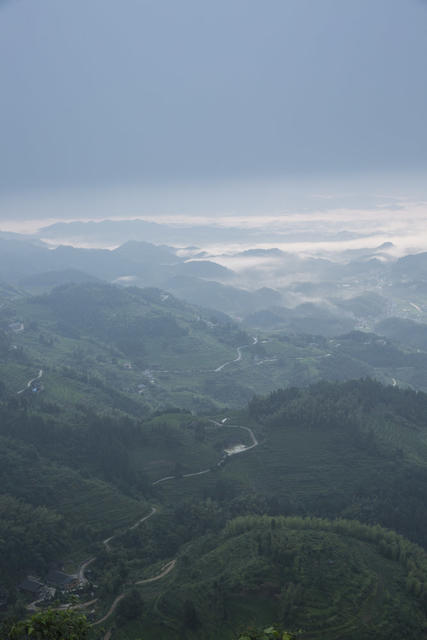 紫鹊界 梯田 晨雾