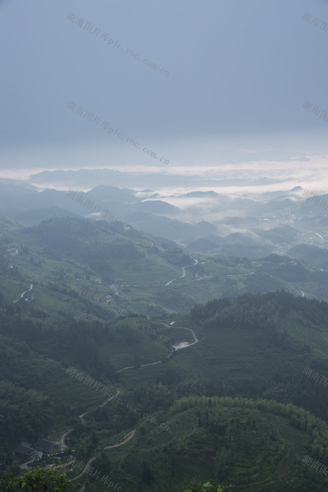 紫鹊界 梯田 晨雾