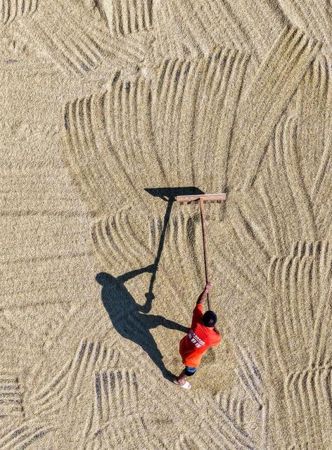 早稻
双抢
道县