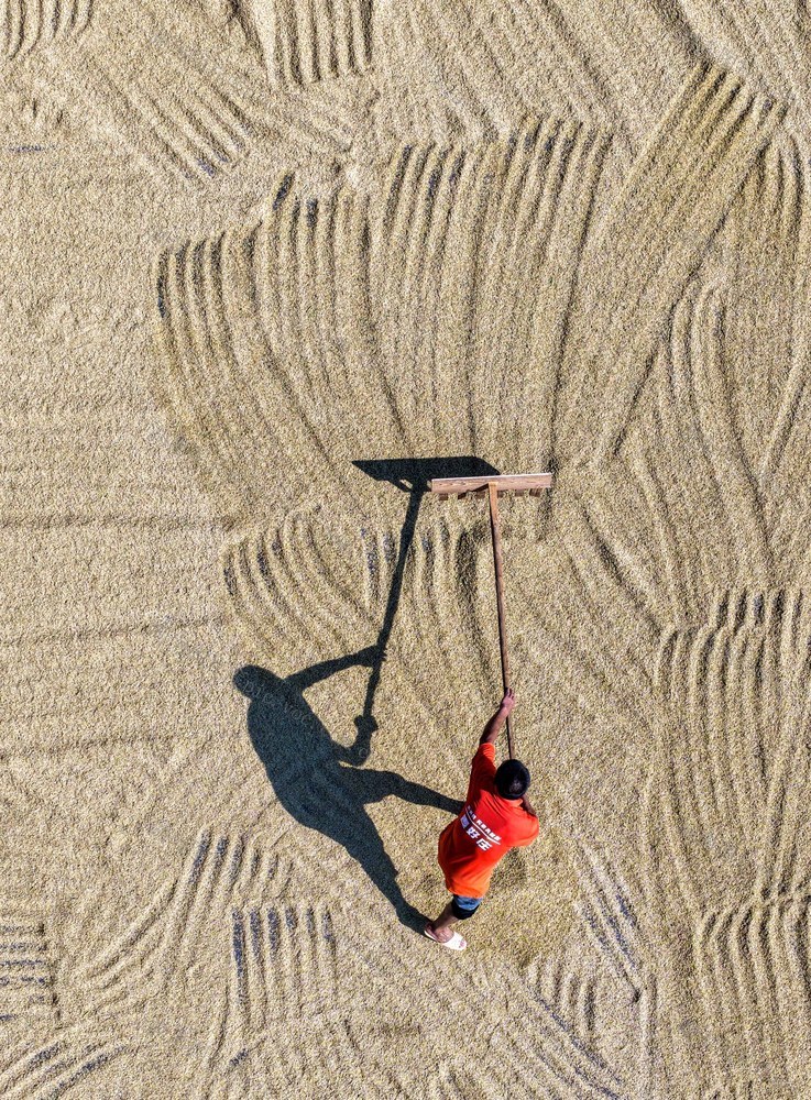 早稻
双抢
道县