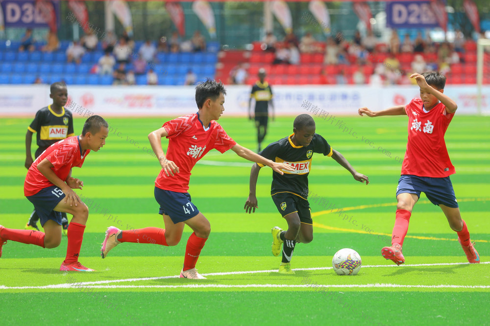 少年足球 国际少年 足球 体育 经济