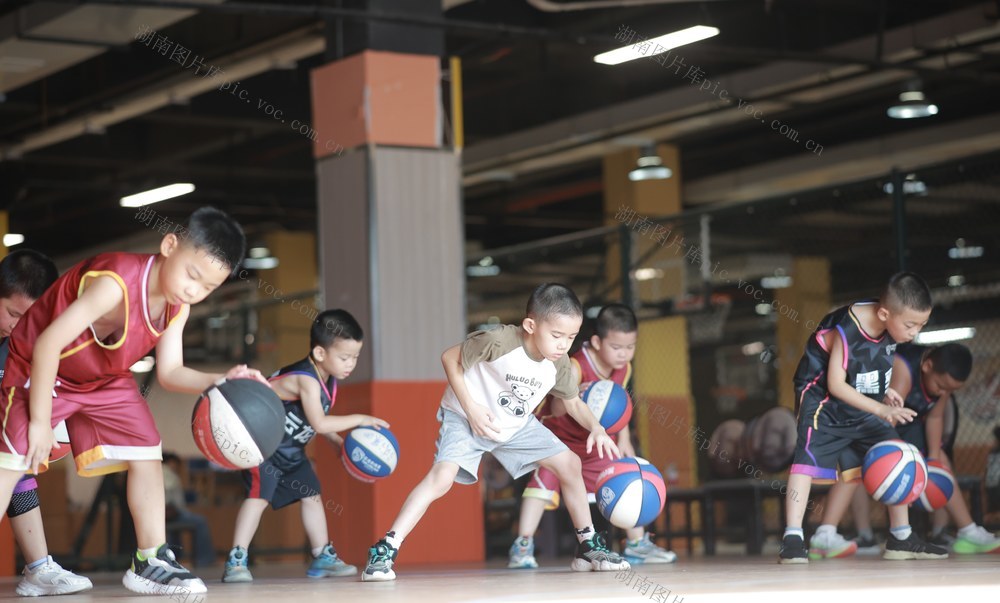 暑托班、托育、普惠、体育、篮球