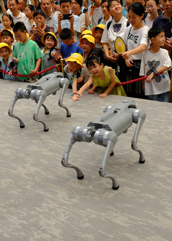 探秘机器狗 ，点亮科技梦