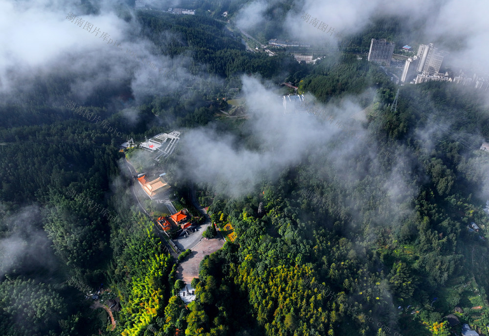 湖南桂东 挨城森林公园 三台山 云雾缭绕 梦幻画卷 齐云峰