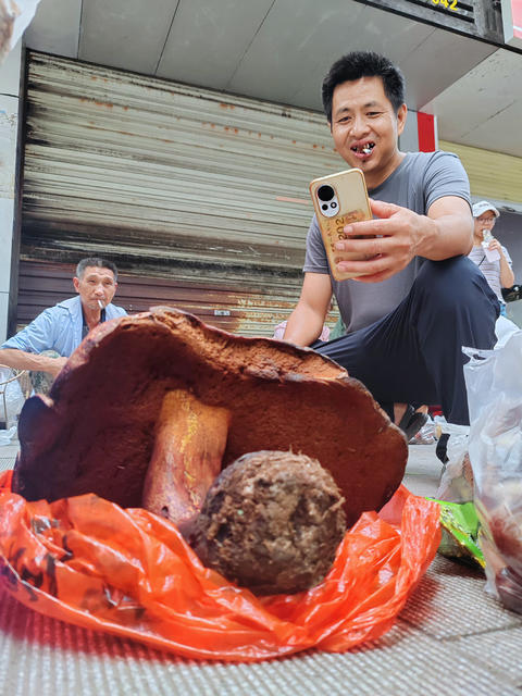 湖南桂东 “菌王” 农贸市场 大脚丫 市民