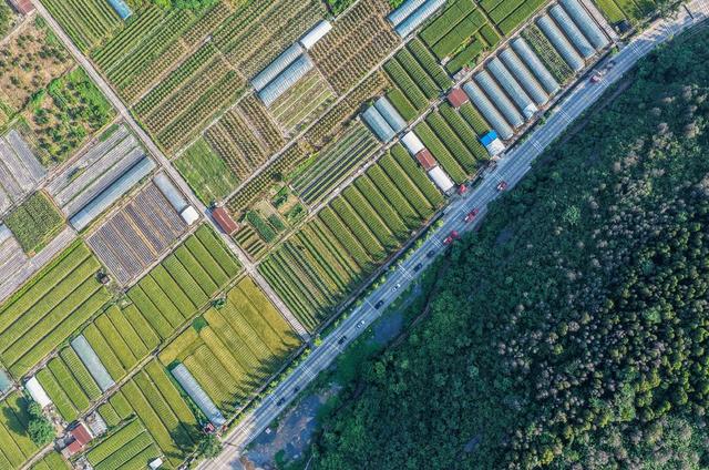 道路
产业兴
道县