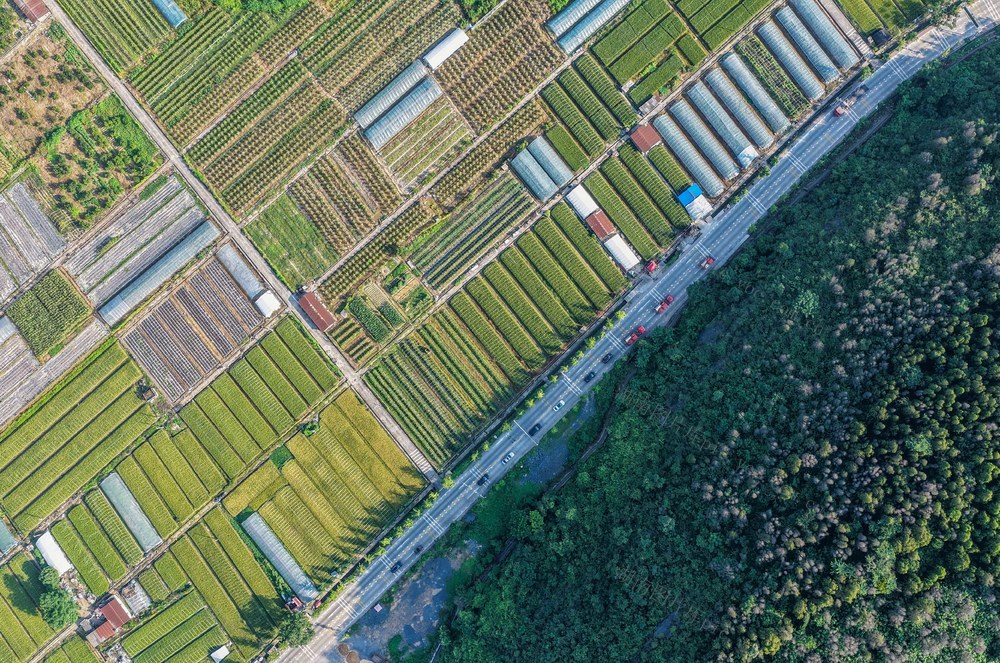 道路
产业兴
道县