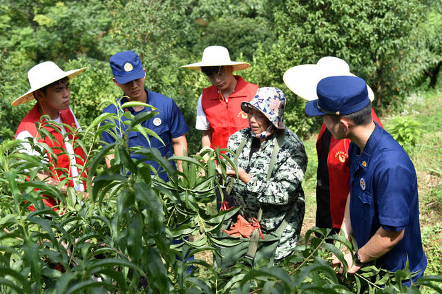 消防 志愿 服务 助农 乡村振兴 安全 防火 夏季 
