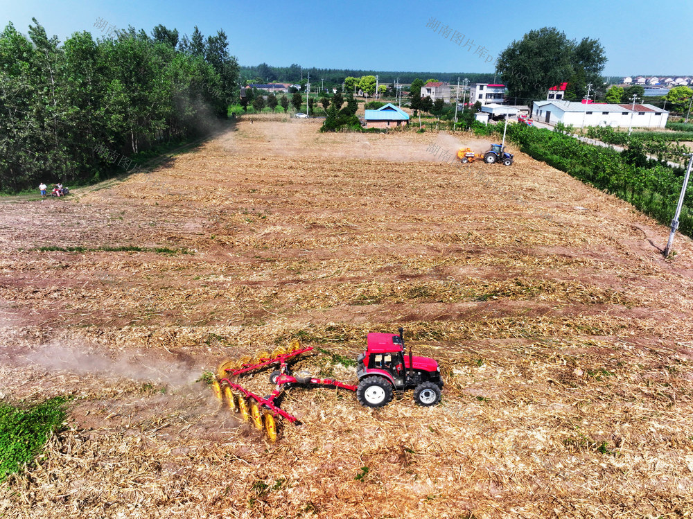 玉米秸秆  综合利用  打包离田  外销  农民增收