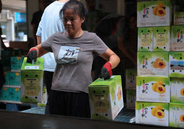 湖南桂东 黄桃 “两山”经济  快递物流