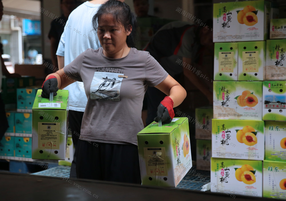 湖南桂东 黄桃 “两山”经济  快递物流