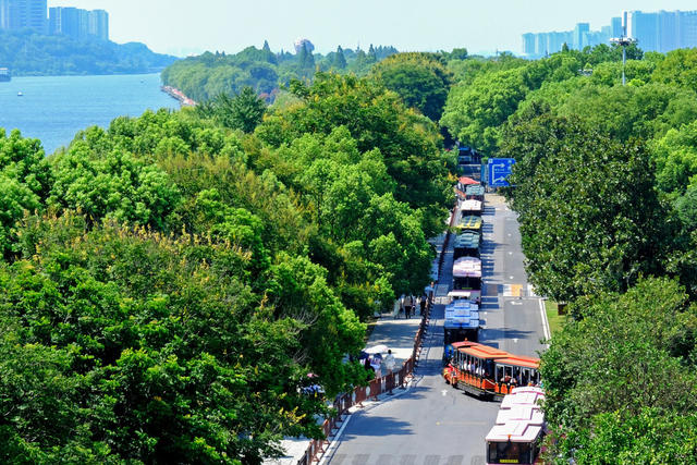 湖南长沙：暑期红色游升温