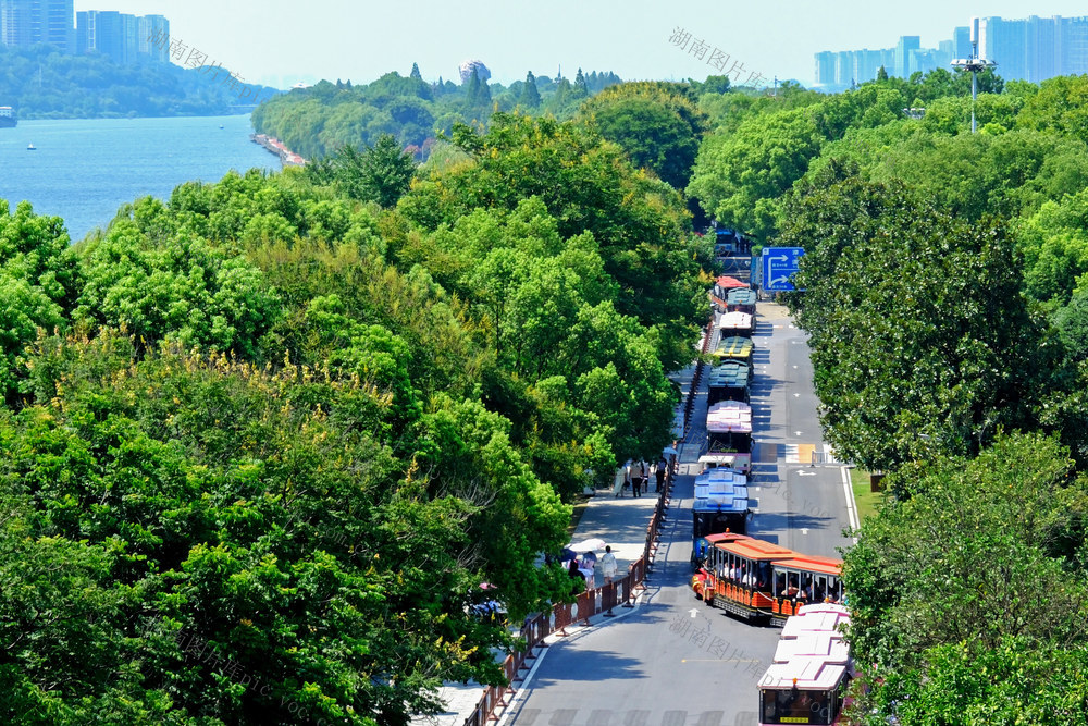 湖南长沙：暑期红色游升温