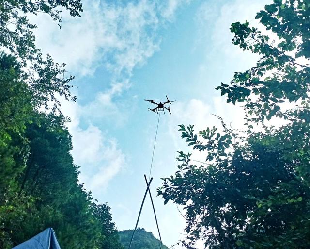 楠竹  吊运  增收