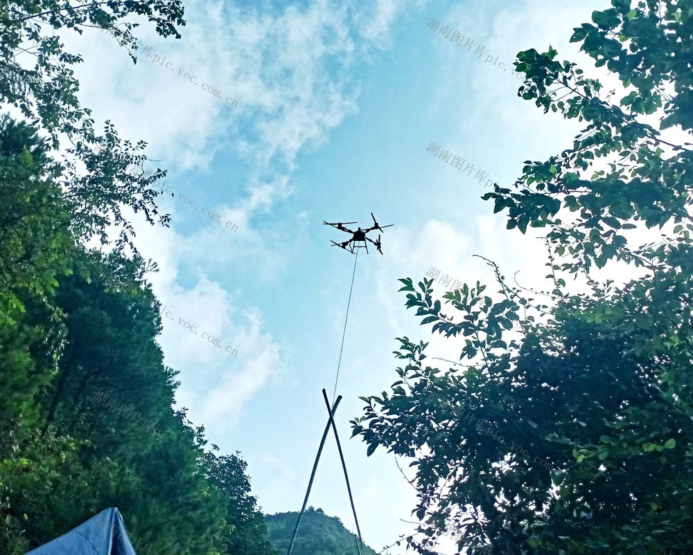 楠竹  吊运  增收